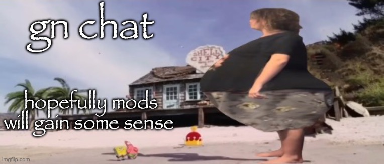 wide load | gn chat; hopefully mods will gain some sense | image tagged in wide load | made w/ Imgflip meme maker