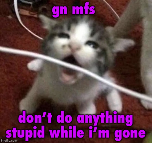 I LOVE EATING CABLES | gn mfs; don’t do anything stupid while i’m gone | image tagged in i love eating cables | made w/ Imgflip meme maker