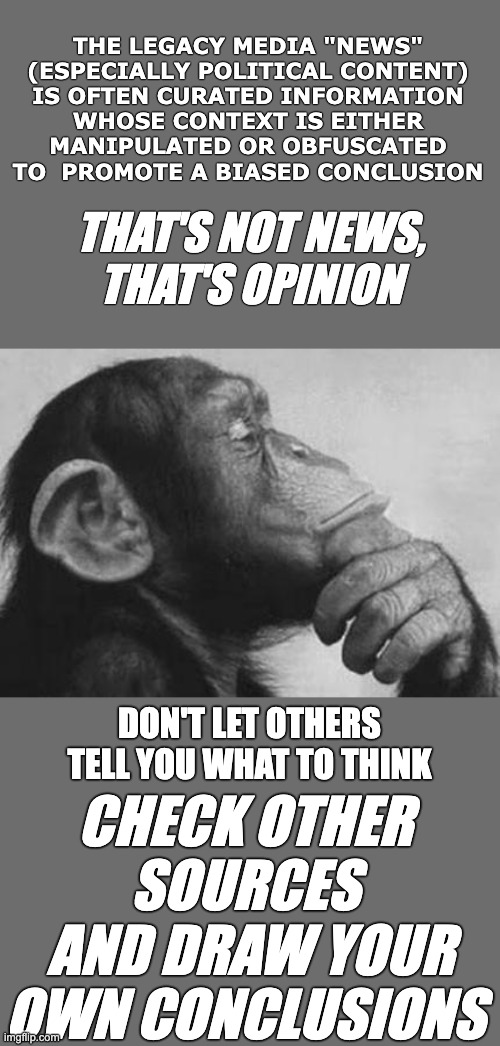 Think for yourself | THE LEGACY MEDIA "NEWS"
(ESPECIALLY POLITICAL CONTENT)
IS OFTEN CURATED INFORMATION
WHOSE CONTEXT IS EITHER
MANIPULATED OR OBFUSCATED TO  PROMOTE A BIASED CONCLUSION; THAT'S NOT NEWS,
THAT'S OPINION; DON'T LET OTHERS TELL YOU WHAT TO THINK; CHECK OTHER SOURCES
 AND DRAW YOUR OWN CONCLUSIONS | image tagged in monkey rodin thinker | made w/ Imgflip meme maker