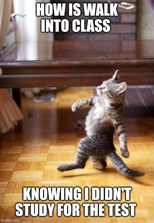 Cool Cat Stroll | HOW IS WALK INTO CLASS; KNOWING I DIDN'T STUDY FOR THE TEST | image tagged in memes,cool cat stroll | made w/ Imgflip meme maker