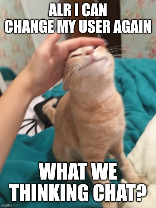 ISTFG IF YOU MFS SAY SOMETHING WITH "MOMMY" AGAIN | ALR I CAN CHANGE MY USER AGAIN; WHAT WE THINKING CHAT? | image tagged in cat pat | made w/ Imgflip meme maker