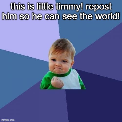 Success Kid | this is little timmy! repost him so he can see the world! | image tagged in memes,success kid | made w/ Imgflip meme maker