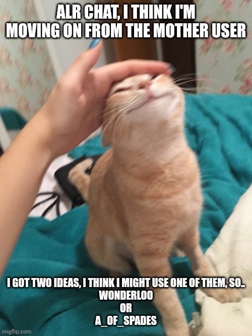 Choose | ALR CHAT, I THINK I'M MOVING ON FROM THE MOTHER USER; I GOT TWO IDEAS, I THINK I MIGHT USE ONE OF THEM, SO..
WONDERLOO
OR
A_OF_SPADES | image tagged in cat pat | made w/ Imgflip meme maker