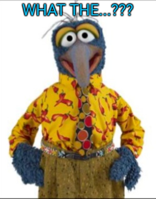 Gonzo | WHAT THE...??? | image tagged in gonzo | made w/ Imgflip meme maker