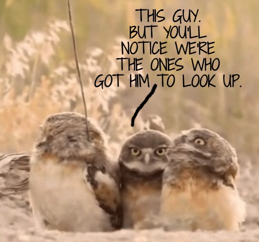THIS GUY. BUT YOU'LL NOTICE WE'RE THE ONES WHO GOT HIM TO LOOK UP. | made w/ Imgflip meme maker