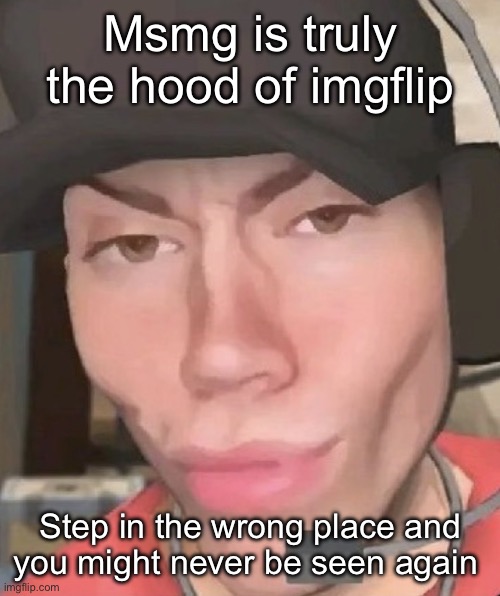 Irl scout | Msmg is truly the hood of imgflip; Step in the wrong place and you might never be seen again | image tagged in irl scout | made w/ Imgflip meme maker