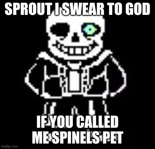 if you didn't have a good evening | SPROUT I SWEAR TO GOD; IF YOU CALLED ME SPINELS PET | image tagged in sans bad time | made w/ Imgflip meme maker