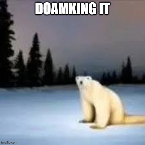 Doamkin it | DOAMKING IT | image tagged in polar bear,a random meme | made w/ Imgflip meme maker