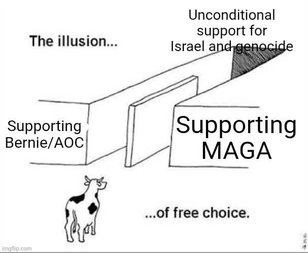 Illusion of free choice | Unconditional support for Israel and genocide; Supporting Bernie/AOC; Supporting MAGA | image tagged in illusion of free choice | made w/ Imgflip meme maker