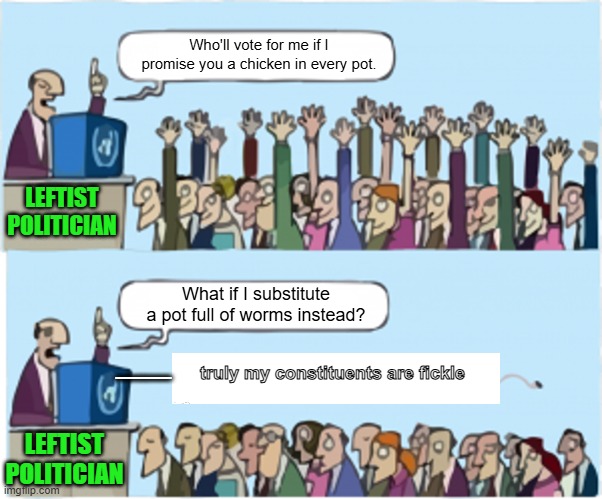 Go ahead idiots, and continue voting Dem Party. | Who'll vote for me if I promise you a chicken in every pot. LEFTIST POLITICIAN; What if I substitute a pot full of worms instead? __; truly my constituents are fickle; LEFTIST POLITICIAN | image tagged in who wants change | made w/ Imgflip meme maker
