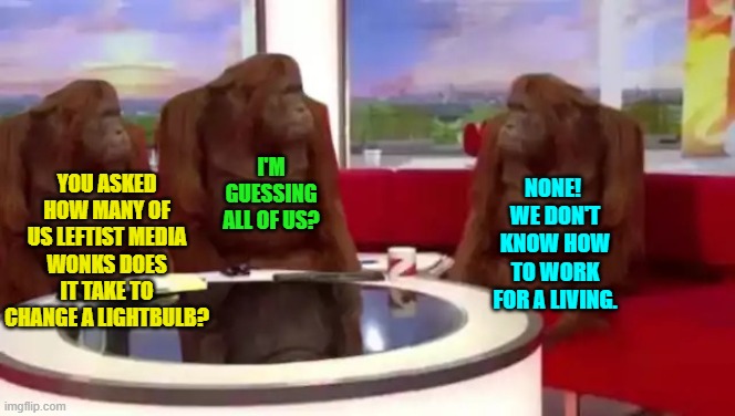 Thus the nagging questions eventually are solved. | I'M GUESSING ALL OF US? NONE!  WE DON'T KNOW HOW TO WORK FOR A LIVING. YOU ASKED HOW MANY OF US LEFTIST MEDIA WONKS DOES IT TAKE TO CHANGE A LIGHTBULB? | image tagged in where banana blank | made w/ Imgflip meme maker