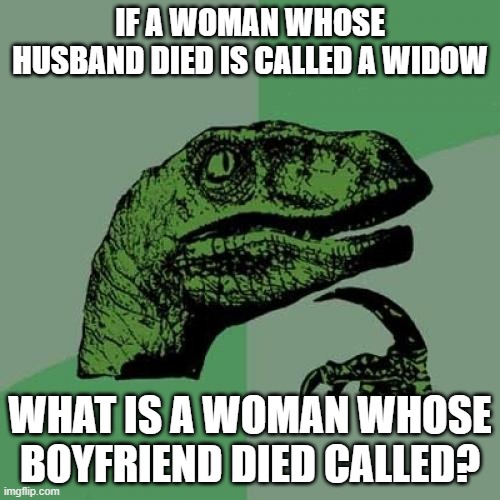 Or fiance? | IF A WOMAN WHOSE HUSBAND DIED IS CALLED A WIDOW; WHAT IS A WOMAN WHOSE BOYFRIEND DIED CALLED? | image tagged in memes,philosoraptor,relationships,marriage,death,so yeah | made w/ Imgflip meme maker