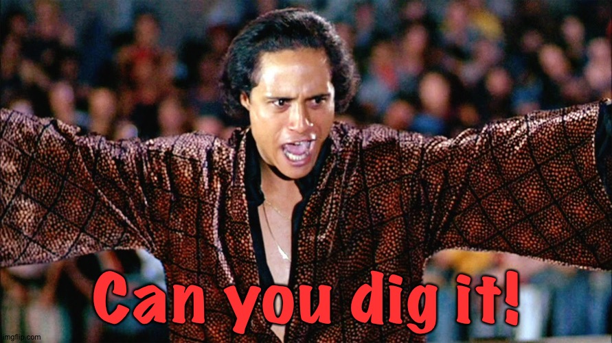 Cyrus warriors | Can you dig it! | image tagged in cyrus warriors | made w/ Imgflip meme maker