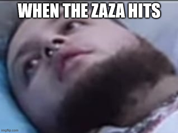 Ya | WHEN THE ZAZA HITS | image tagged in stanleymov | made w/ Imgflip meme maker