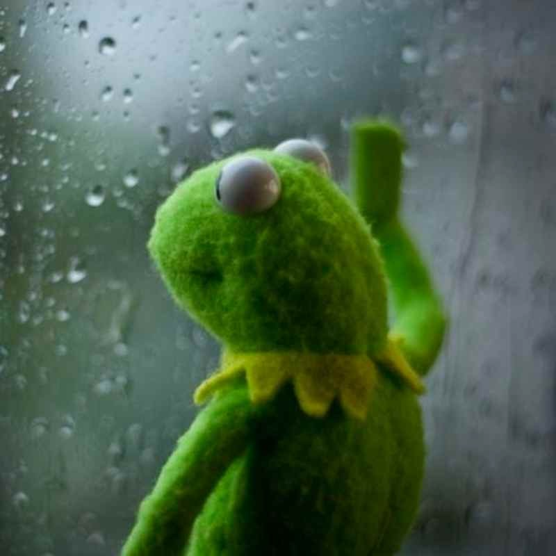 Kermit the frog window Blank Meme Template