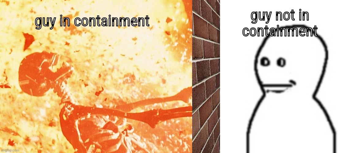 guy not in containment; guy in containment | image tagged in fire skeleton,fallenchungus guy straight face | made w/ Imgflip meme maker