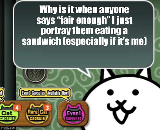 Mangos mustards 67s | Why is it when anyone says “fair enough” I just portray them eating a sandwich (especially if it’s me) | image tagged in the basic cat says something | made w/ Imgflip meme maker