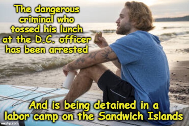 Dangerous Sandwich Thrower | The dangerous criminal who tossed his lunch at the D.C. officer has been arrested; And is being detained in a labor camp on the Sandwich Islands | image tagged in law and order,fascism,police state,maga,trump is a moron,nevertrump meme | made w/ Imgflip meme maker