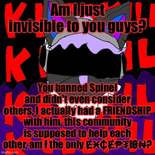 Why do I even bother trying to cheer people up if THIS is what I get in return | Am I just invisible to you guys? You banned Spinel and didn't even consider others, I actually had a FRIENDSHIP with him, this community is supposed to help each other, am ł the only ɆӾ₵Ɇ₱₮łØ₦? | made w/ Imgflip meme maker