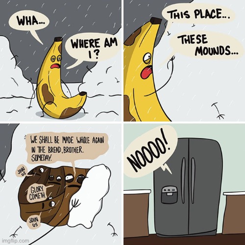 The frozen wasteland of overripe bananas… | image tagged in comics,bananas,future banana bread,freezer,overripe | made w/ Imgflip meme maker