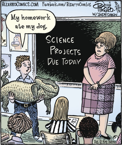Bizarro Comics | image tagged in comics,bizarro comics,classroom,alligator,my homework ate my dog | made w/ Imgflip meme maker