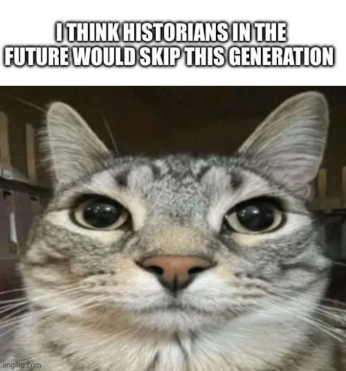 With every new trend for kids I’m convinced in this more and more | I THINK HISTORIANS IN THE FUTURE WOULD SKIP THIS GENERATION | image tagged in cat,gen alpha,memes,future,funny,history memes | made w/ Imgflip meme maker