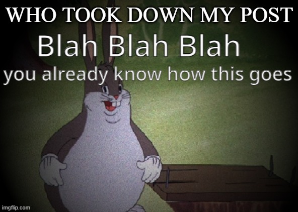 Wholesome 100 | WHO TOOK DOWN MY POST | image tagged in wholesome 100 | made w/ Imgflip meme maker