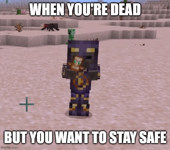 even the dead want to feel safe | WHEN YOU'RE DEAD; BUT YOU WANT TO STAY SAFE | image tagged in netherite husk | made w/ Imgflip meme maker