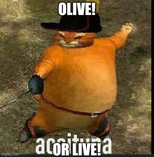Fat Puss in Boots | OLIVE! OR LIVE! | image tagged in fat puss in boots | made w/ Imgflip meme maker