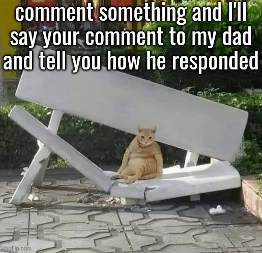 cat on broken bench | comment something and I'll
say your comment to my dad
and tell you how he responded | image tagged in cat on broken bench | made w/ Imgflip meme maker