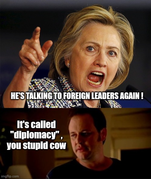 The Foreign Asset has spoken | HE'S TALKING TO FOREIGN LEADERS AGAIN ! It's called "diplomacy" ,
you stupid cow | image tagged in hillary clinton,impeach trump,make my day,liberal hypocrisy,endless,trump derangement syndrome | made w/ Imgflip meme maker