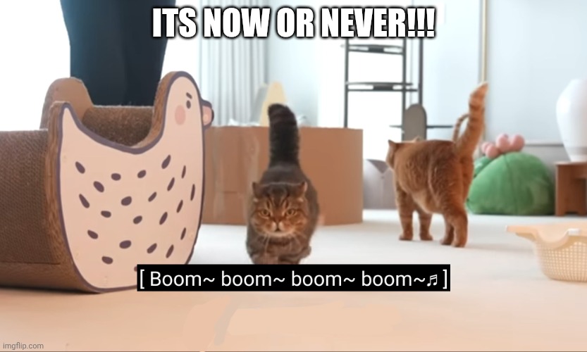 Run like there's no tomorrow! | ITS NOW OR NEVER!!! | image tagged in run like there's no tomorrow | made w/ Imgflip meme maker