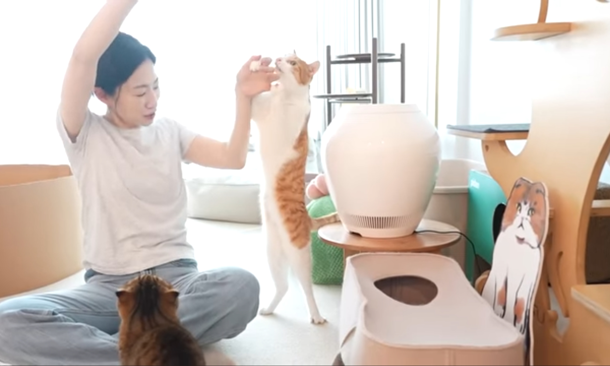 High Quality Thats a looooong kitteh Blank Meme Template