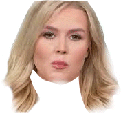 Karoline Leavitt Meme Template