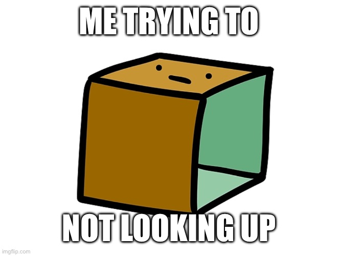 Dont look to The Sky | ME TRYING TO; NOT LOOKING UP | image tagged in scatola con faccia in alto | made w/ Imgflip meme maker