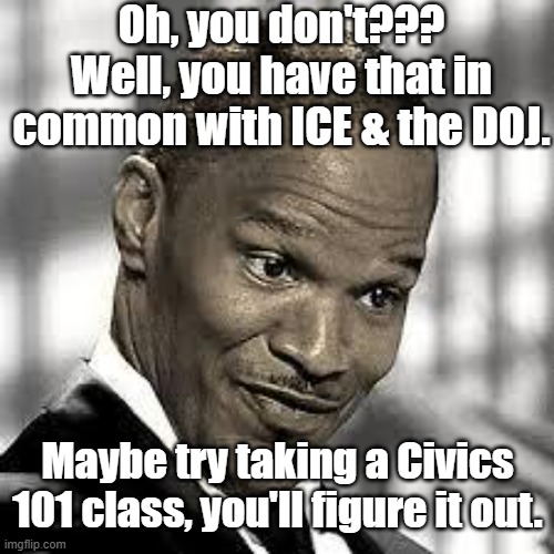 OH REALLY | Oh, you don't??? Well, you have that in common with ICE & the DOJ. Maybe try taking a Civics 101 class, you'll figure it out. | image tagged in oh really | made w/ Imgflip meme maker