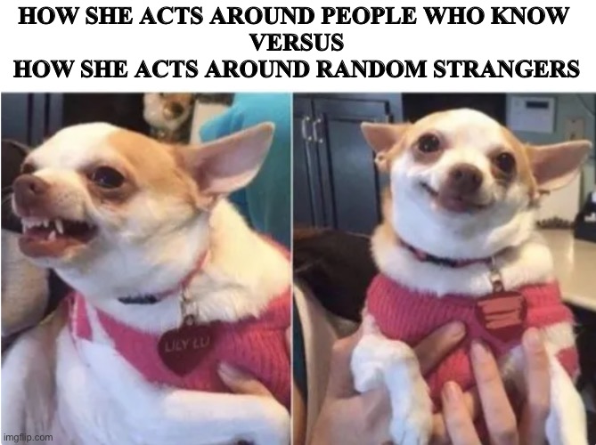 HOW SHE ACTS AROUND PEOPLE WHO KNOW 
VERSUS
HOW SHE ACTS AROUND RANDOM STRANGERS | image tagged in women | made w/ Imgflip meme maker