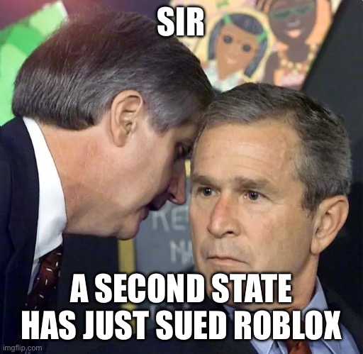 Texas and Louisiana, what is this team up? | SIR; A SECOND STATE HAS JUST SUED ROBLOX | image tagged in a second plane has just hit | made w/ Imgflip meme maker