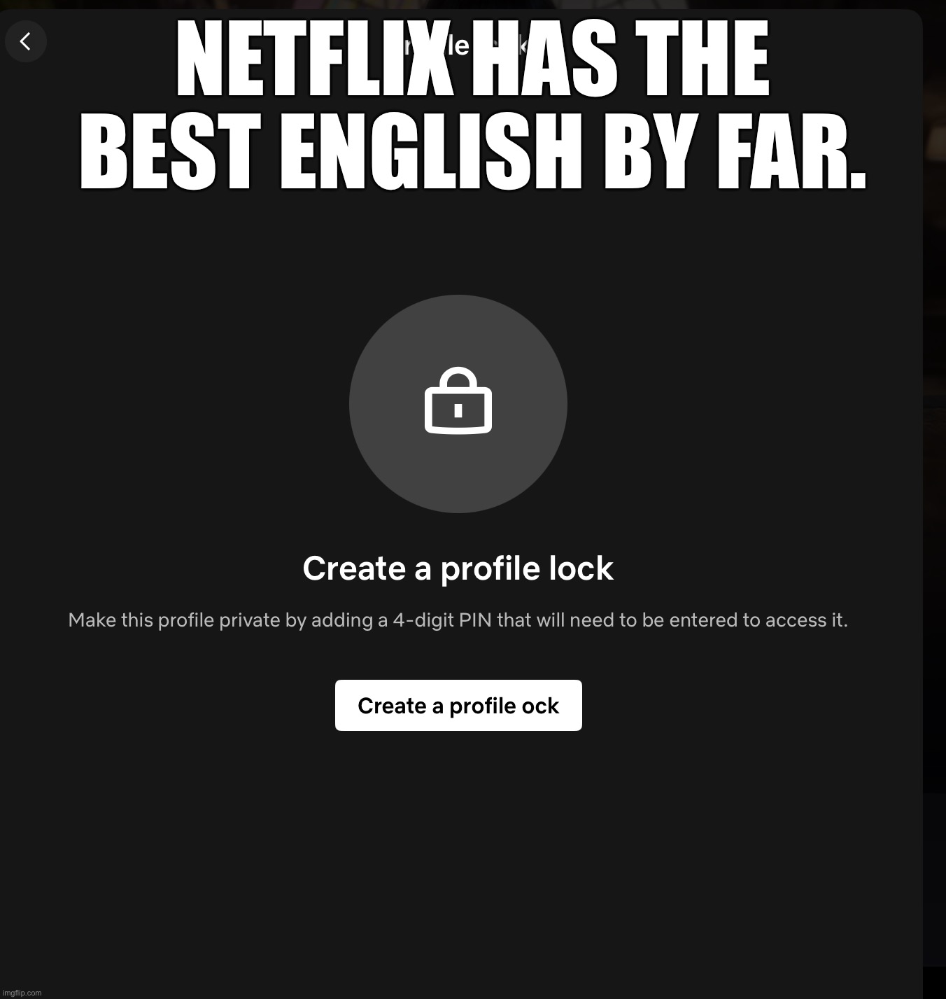Netflix english | NETFLIX HAS THE BEST ENGLISH BY FAR. | image tagged in funny memes,netflix | made w/ Imgflip meme maker