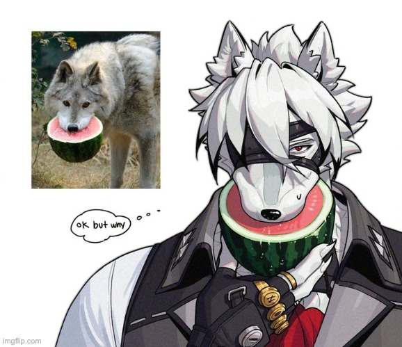 wolf butler :3 | made w/ Imgflip meme maker