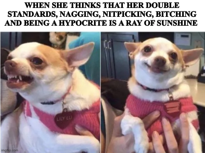 WHEN SHE THINKS THAT HER DOUBLE STANDARDS, NAGGING, NITPICKING, BITCHING AND BEING A HYPOCRITE IS A RAY OF SUNSHINE | image tagged in women | made w/ Imgflip meme maker