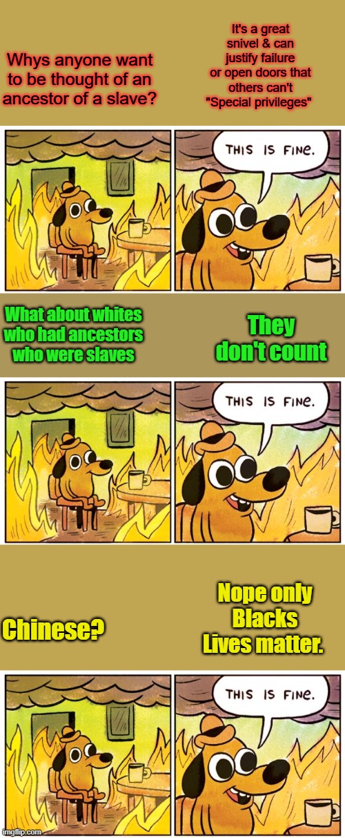 Every race has been enslaved by another race in its history, its only whites that are guilted for it. BLACKS even owned blacks | It's a great snivel & can justify failure or open doors that others can't "Special privileges"; Whys anyone want to be thought of an ancestor of a slave? What about whites who had ancestors who were slaves; They don't count; Chinese? Nope only Blacks Lives matter. | image tagged in memes,this is fine | made w/ Imgflip meme maker