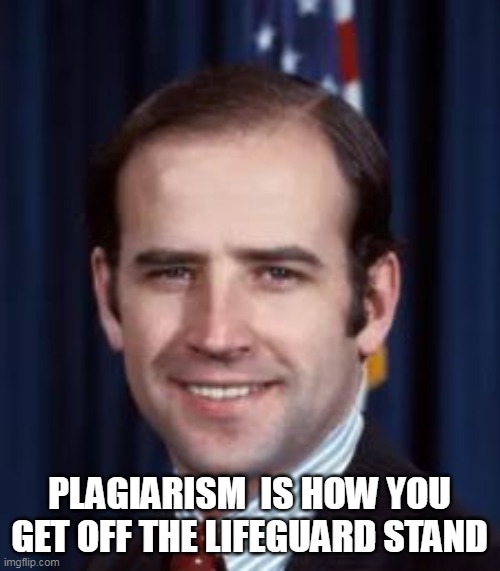 PLAGIARISM  IS HOW YOU GET OFF THE LIFEGUARD STAND | made w/ Imgflip meme maker