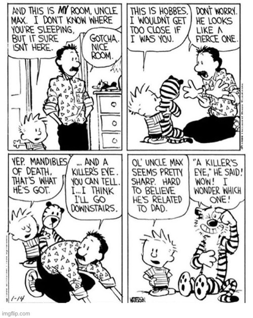 Uncle Max knows how to handle fierce jungle cats… | image tagged in calvin and hobbes,comics,uncle max,calvins room | made w/ Imgflip meme maker
