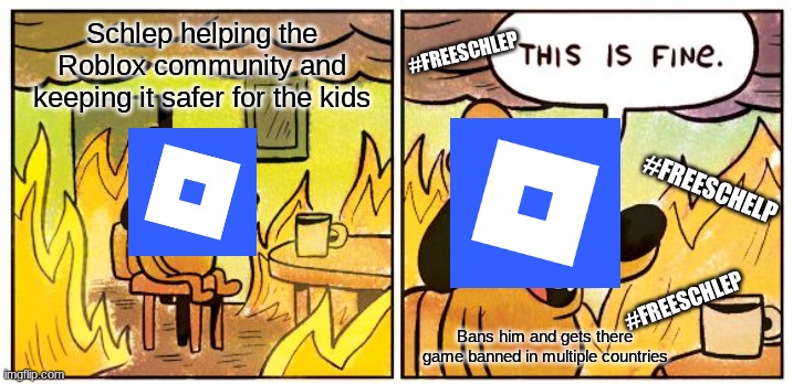 Why did he get banned???????? | #FREESCHLEP; Schlep helping the Roblox community and keeping it safer for the kids; #FREESCHELP; #FREESCHLEP; Bans him and gets there game banned in multiple countries | image tagged in memes,this is fine | made w/ Imgflip meme maker