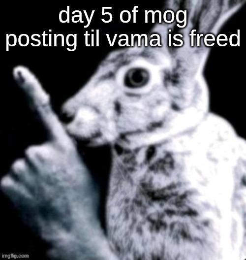 rabbit | day 5 of mog posting til vama is freed | image tagged in rabbit | made w/ Imgflip meme maker