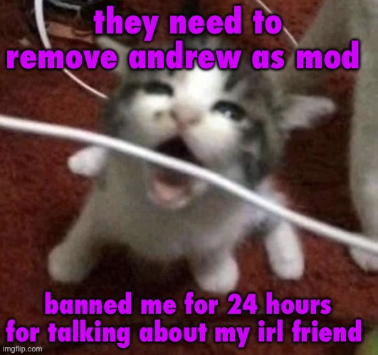 I LOVE EATING CABLES | they need to remove andrew as mod; banned me for 24 hours for talking about my irl friend | image tagged in i love eating cables | made w/ Imgflip meme maker