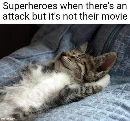 i sleep | Superheroes when there's an attack but it's not their movie | image tagged in sleeping cat,avengers,superheroes,movies,memes,funny | made w/ Imgflip meme maker