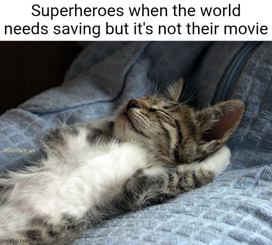 foony meem | Superheroes when the world needs saving but it's not their movie | image tagged in sleeping cat,cats,superheroes,avengers,movies,memes | made w/ Imgflip meme maker
