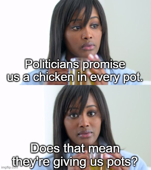 Black Woman Drinking Tea (2 Panels) | Politicians promise us a chicken in every pot. Does that mean they're giving us pots? | image tagged in black woman drinking tea 2 panels | made w/ Imgflip meme maker